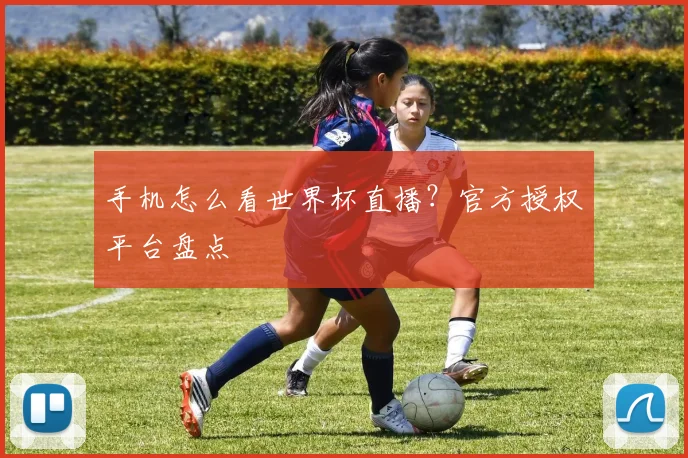 手机怎么看世界杯直播？官方授权平台盘点
