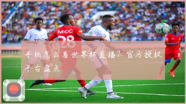 手机怎么看世界杯直播？官方授权平台盘点