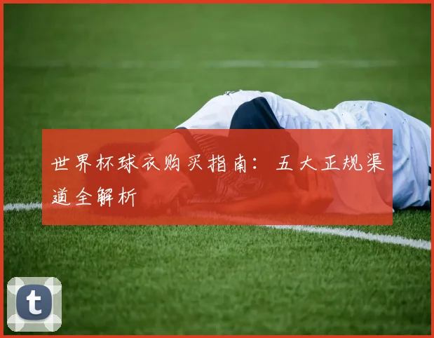 世界杯球衣购买指南：五大正规渠道全解析