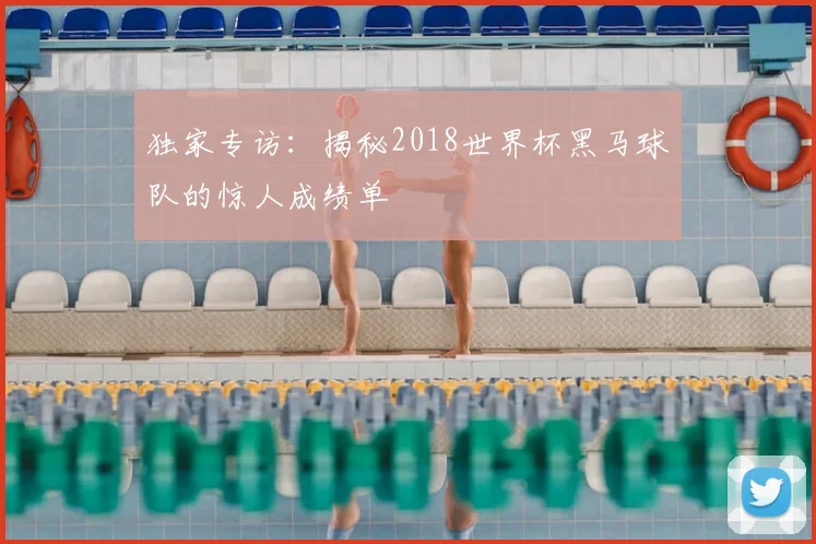独家专访:揭秘2018世界杯黑马球队的惊人成绩单