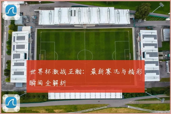 世界杯激战正酣:最新赛况与精彩瞬间全解析