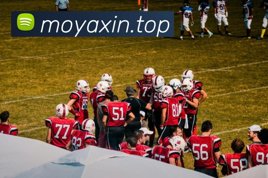 mksports官方app官网入口品牌故事