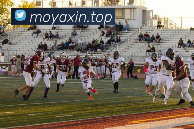 mksports官方app官网入口服务体系